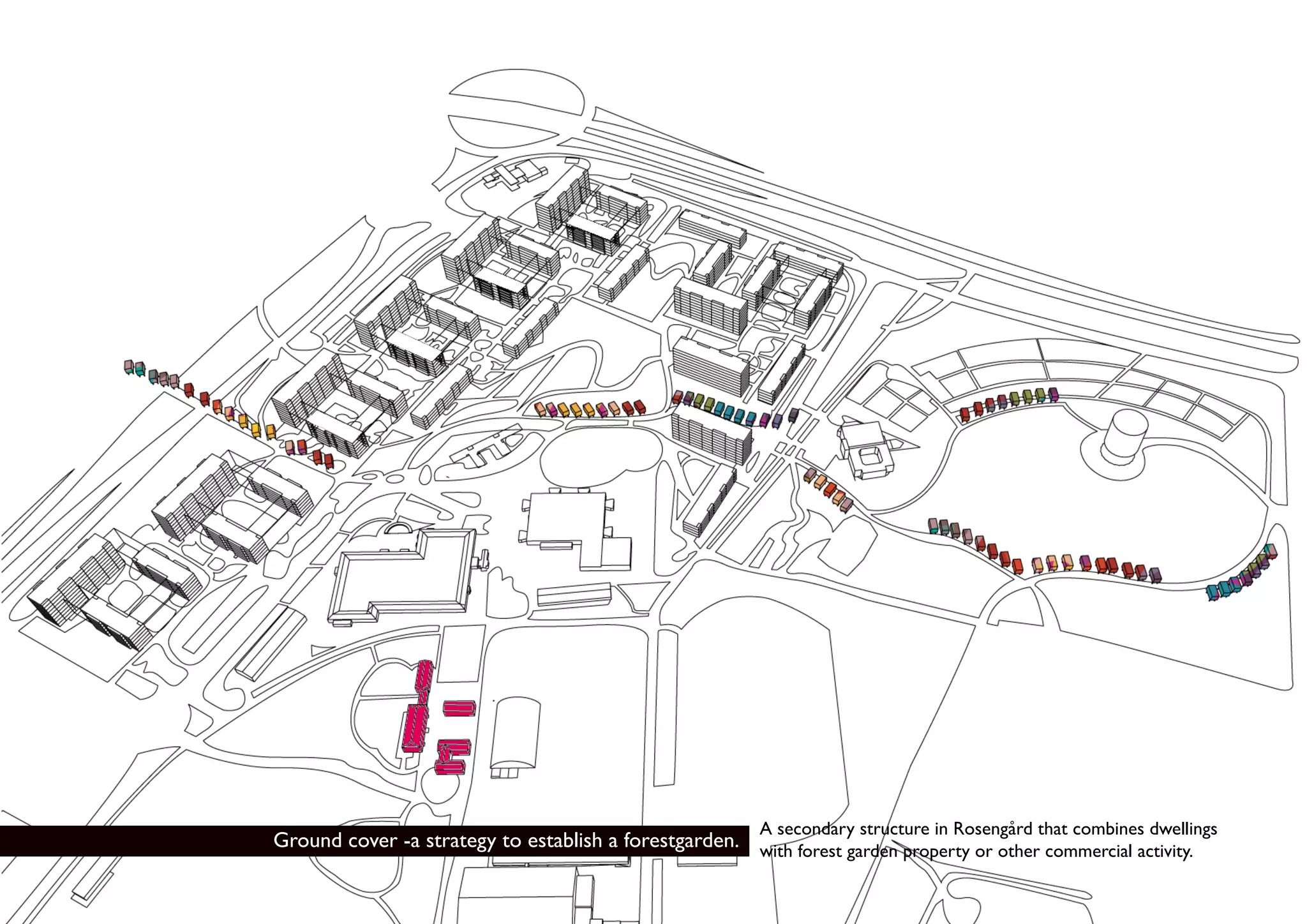 A secondary structure in Rosengård that combines dwellings
Ground cover -a strategy to establish a forestgarden. with forest garden property or other commercial activity.
 