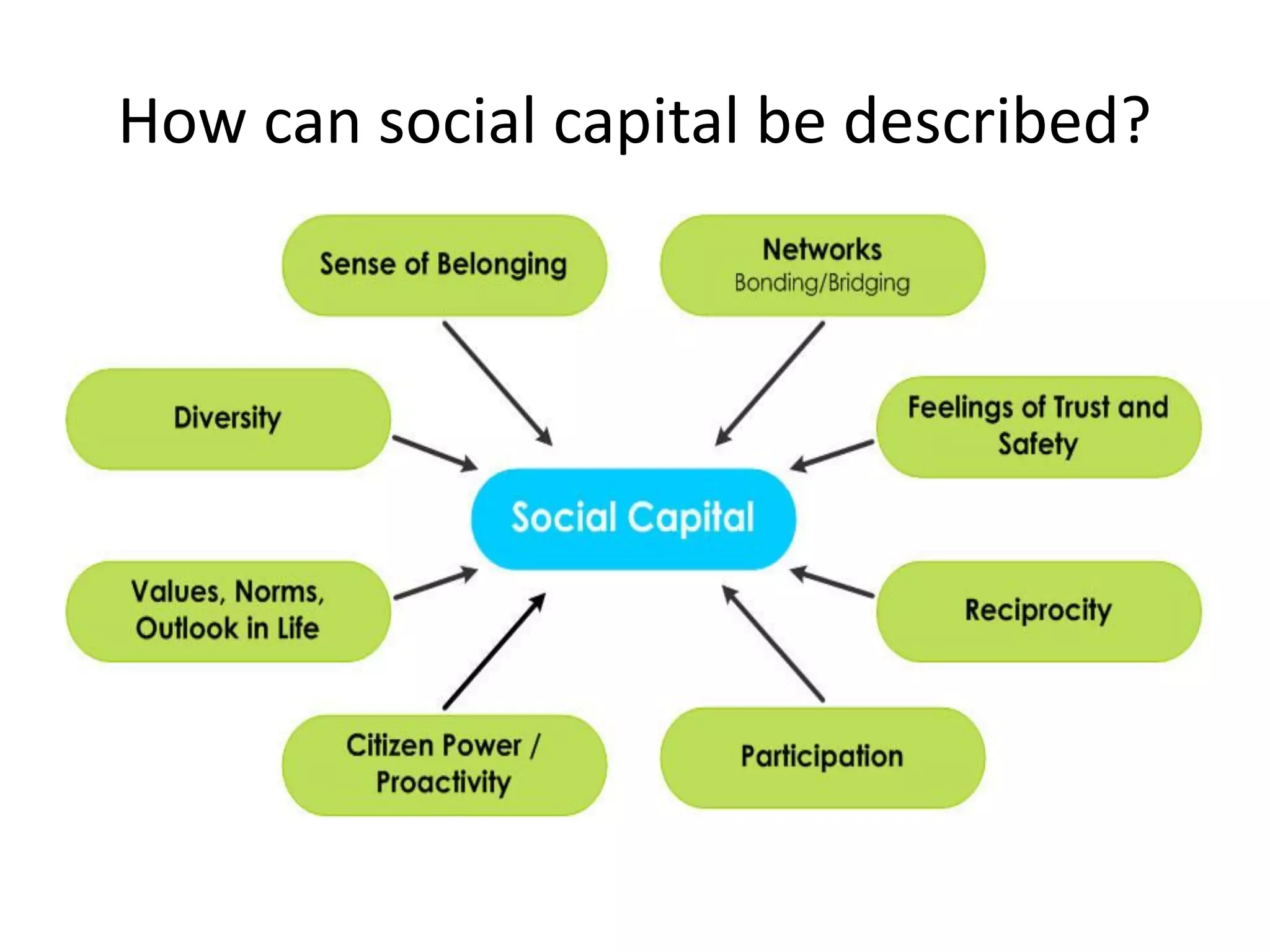 How can social capital be described?
 