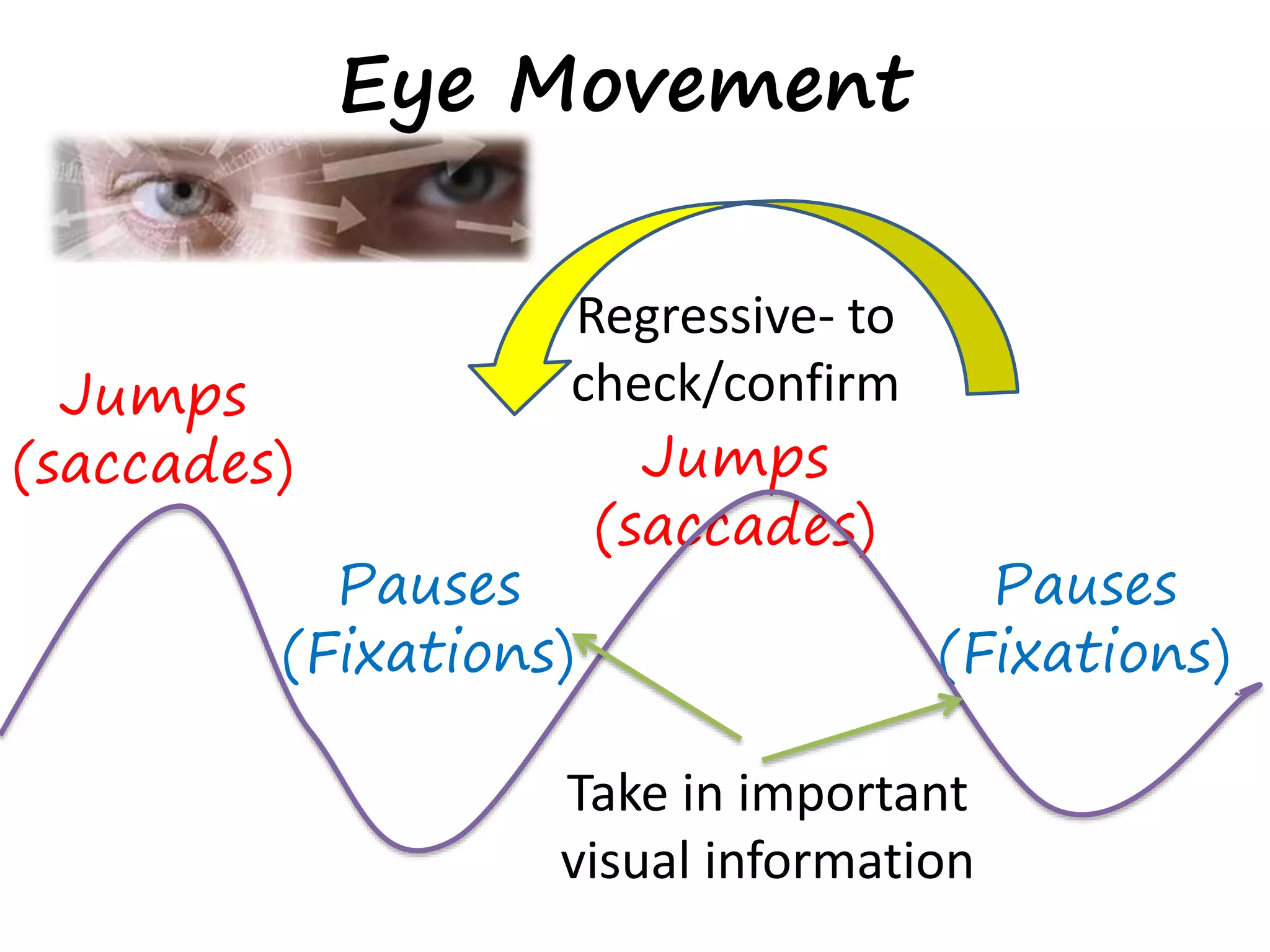 Eye Movement
Jumps
(saccades) Jumps
(saccades)
Pauses
(Fixations)
Pauses
(Fixations)
Take in important
visual information
Regressive- to
check/confirm
 