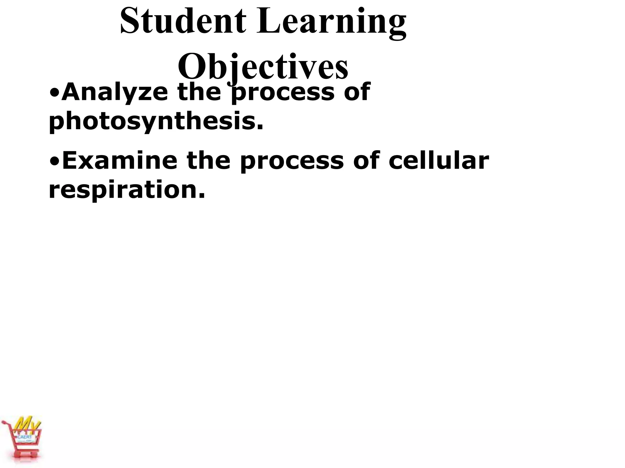 Student Learning
Objectives
•Analyze the process of
photosynthesis.
•Examine the process of cellular
respiration.
 