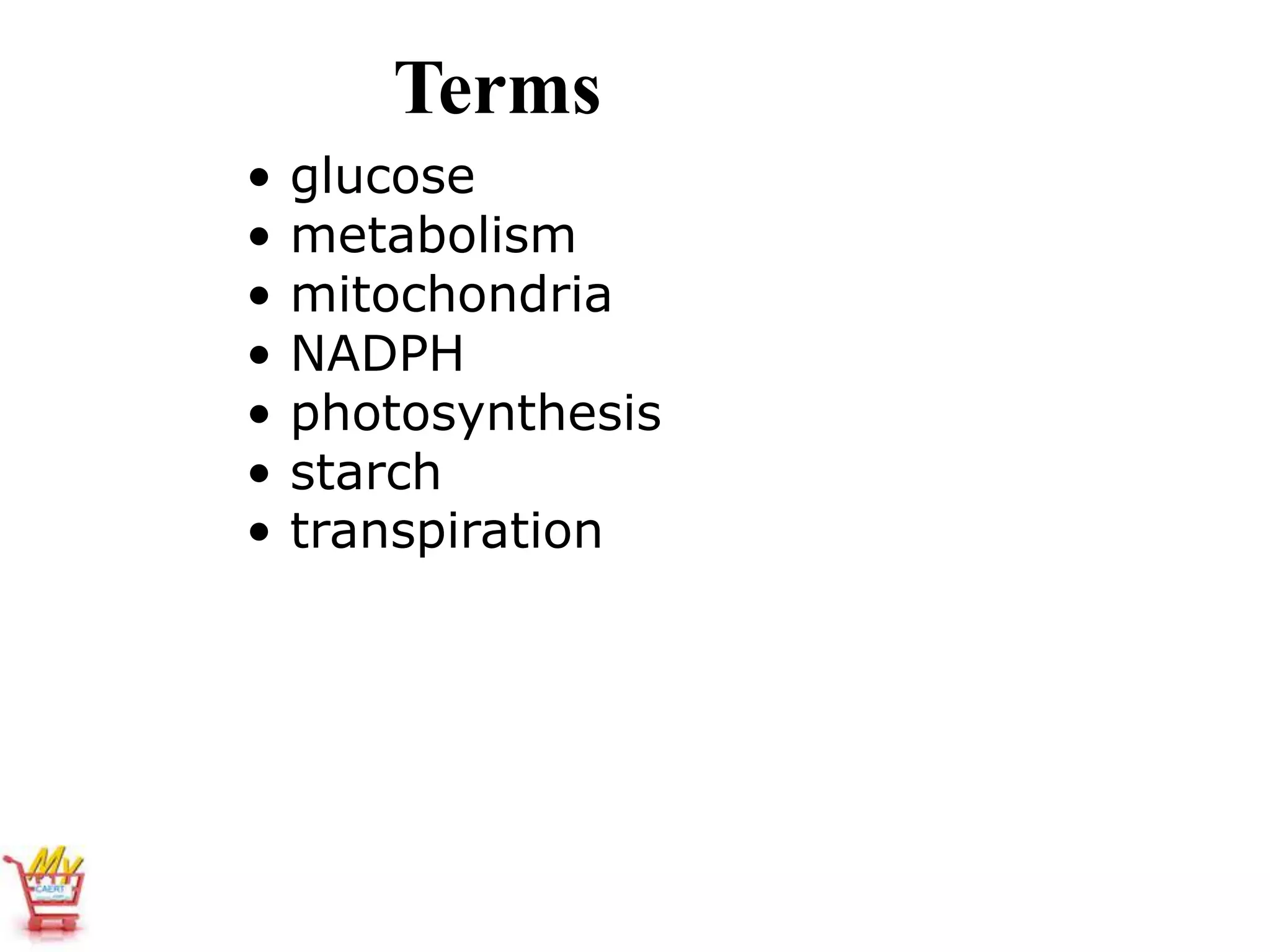 Terms
• glucose
• metabolism
• mitochondria
• NADPH
• photosynthesis
• starch
• transpiration
 