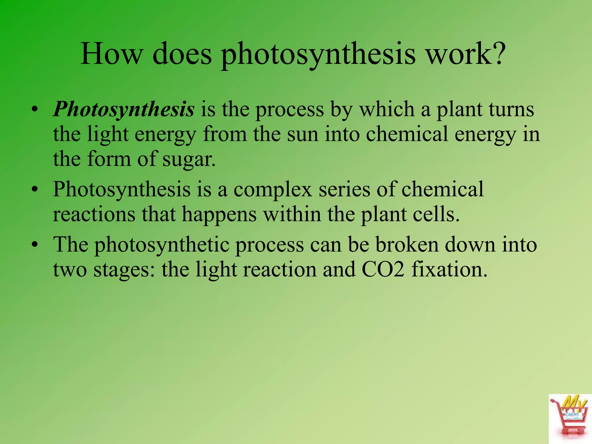 How does photosynthesis work?
• Photosynthesis is the process by which a plant turns
the light energy from the sun into chemical energy in
the form of sugar.
• Photosynthesis is a complex series of chemical
reactions that happens within the plant cells.
• The photosynthetic process can be broken down into
two stages: the light reaction and CO2 fixation.
 