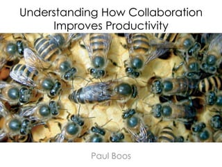 Understanding How Collaboration
Improves Productivity
Paul Boos
 