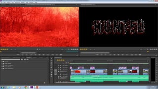 Understanding how to use software
