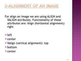Understanding THML | PPT | Web Design and HTML | Internet
