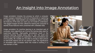 Understanding Image Annotation and its Significance in Machine Learning ...
