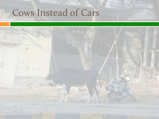 Cows Instead of Cars
 