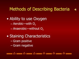 Methods of Describing Bacteria Ability to use Oxygen Aerobic—with O 2 Anaerobic—without O 2 Staining Characteristics Gram positive Gram negative 