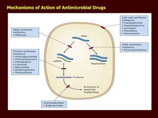 Mechanisms of Action of Antimicrobial Drugs 