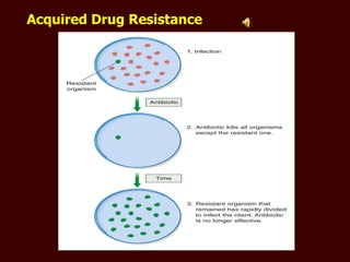 Acquired Drug Resistance 