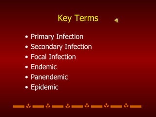 Primary Infection Secondary Infection Focal Infection Endemic Panendemic Epidemic Key Terms 