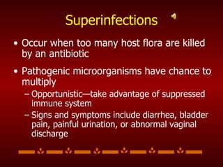 Superinfections Occur when too many host flora are killed by an antibiotic Pathogenic microorganisms have chance to multiply Opportunistic—take advantage of suppressed immune system Signs and symptoms include diarrhea, bladder pain, painful urination, or abnormal vaginal discharge 