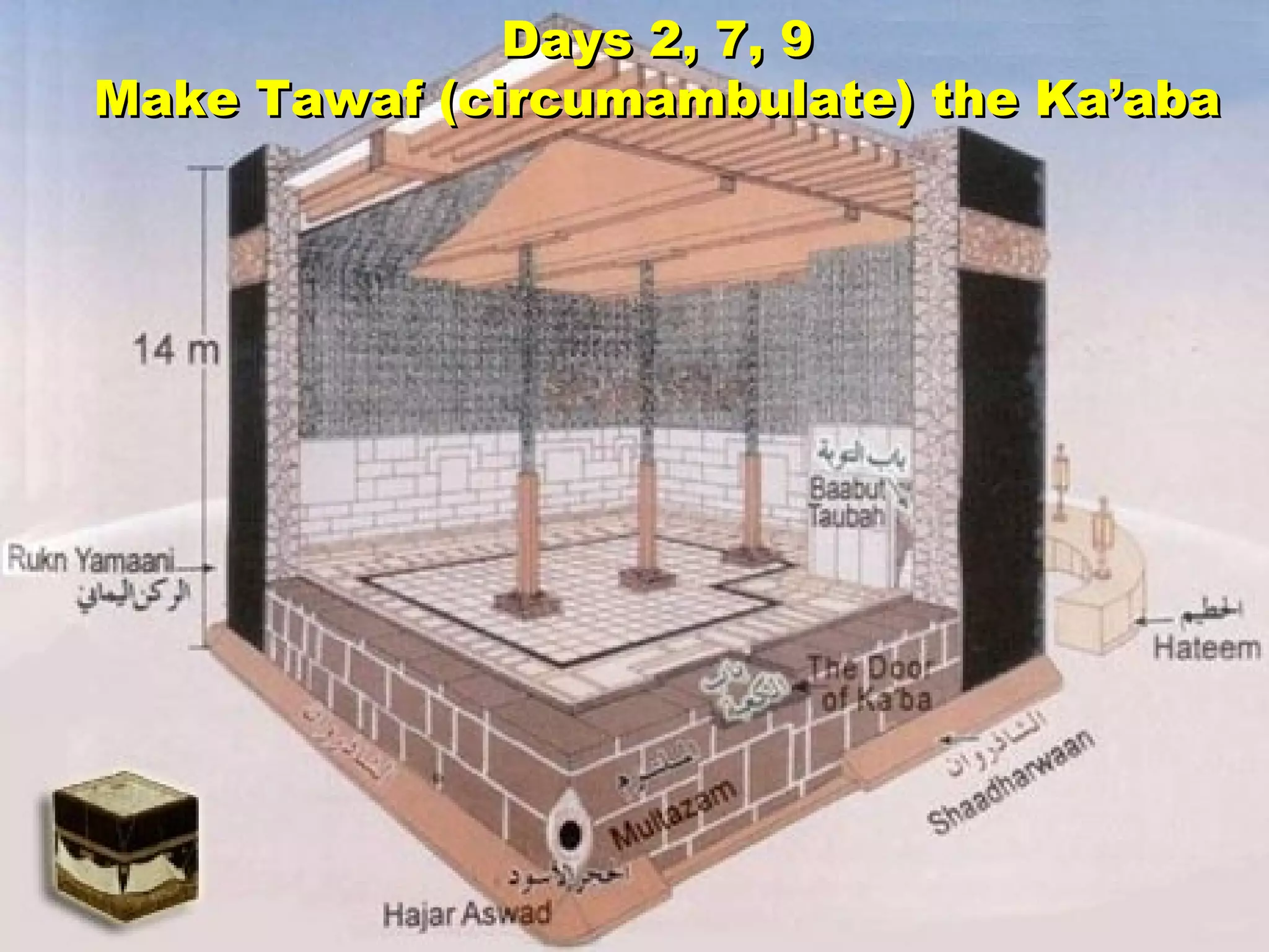 Days 2, 7, 9 Make Tawaf (circumambulate) the Ka’aba 