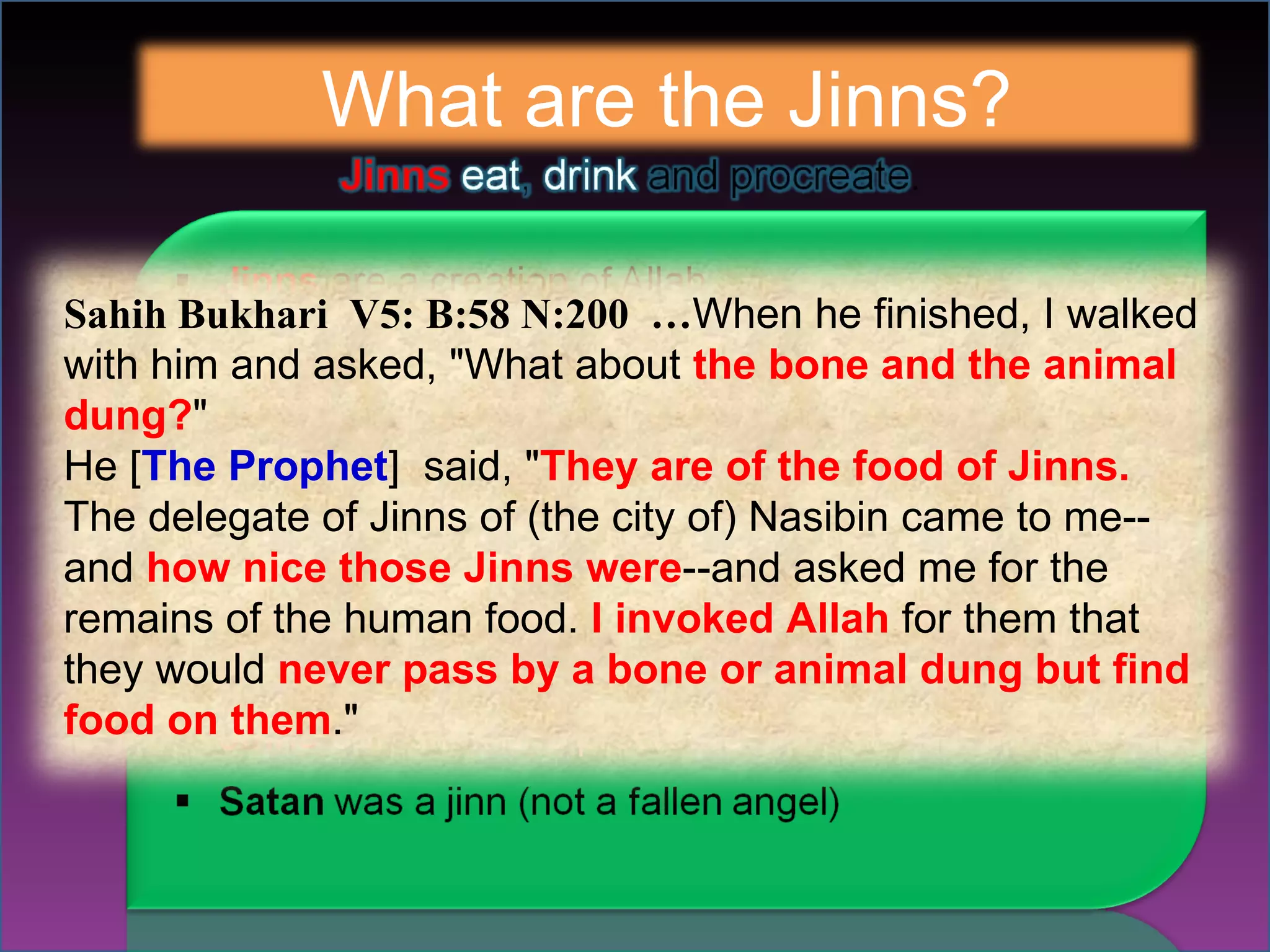 What are the Jinns? Sahih Bukhari  V5: B:58 N:200  … When he finished, I walked with him and asked, "What about  the bone and the animal dung? "   He [ The Prophet ]  said, " They are of the food of Jinns.  The delegate of Jinns of (the city of) Nasibin came to me--and  how nice those Jinns were --and asked me for the remains of the human food.  I invoked Allah  for them that they would  never pass by a bone or animal dung but find food on them ." 