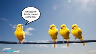 Canary
WHAZZZAH!
I’m the newkid
on thestick!
70
 