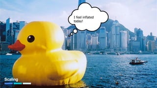 Scaling
I feel inflated today!
73
 