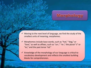  Moving to the next level of language, we find the study of the
smallest units of meaning, morphemes.
 Morphemes include base words, such as “hat,” “dog,” or
“love,” as well as affixes, such as “un-,” “re-,” the plural “s” or
“es,” and the past tense “ed.”
 Knowledge of the morphology of our language is critical to
vocabulary development and reflects the smallest building
blocks for comprehension.
 