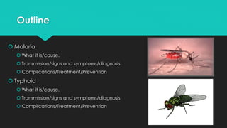 Understanding Malaria & Typhoid Fever | PDF