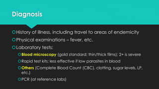 Understanding Malaria & Typhoid Fever | PDF
