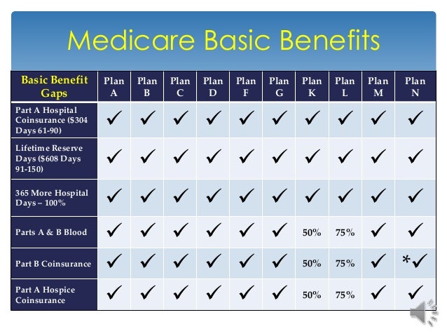 Which Medicare Supplement Plan Is The Most Popular