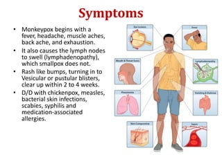 Symptoms
• Monkeypox begins with a
fever, headache, muscle aches,
back ache, and exhaustion.
• It also causes the lymph nodes
to swell (lymphadenopathy),
which smallpox does not.
• Rash like bumps, turning in to
Vesicular or pustular blisters,
clear up within 2 to 4 weeks.
• D/D with chickenpox, measles,
bacterial skin infections,
scabies, syphilis and
medication-associated
allergies.
 