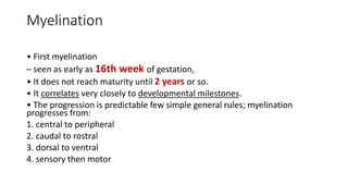 Myelination
• First myelination
– seen as early as 16th week of gestation,
• It does not reach maturity until 2 years or so.
• It correlates very closely to developmental milestones.
• The progression is predictable few simple general rules; myelination
progresses from:
1. central to peripheral
2. caudal to rostral
3. dorsal to ventral
4. sensory then motor
 