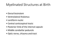 Myelinated Structures at Birth
• Dorsal brainstem
• Ventrolateral thalamus
• Lentiform nuclei
• Central corticospinal tracts
• Posterior limb of the internal capsule
• Middle cerebellar peduncle
• Optic nerve, chiasma and tract
 
