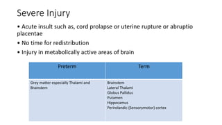 Severe Injury
• Acute insult such as, cord prolapse or uterine rupture or abruptio
placentae
• No time for redistribution
• Injury in metabolically active areas of brain
Preterm Term
Grey matter especially Thalami and
Brainstem
Brainstem
Lateral Thalami
Globus Pallidus
Putamen
Hippocamus
Perirolandic (Sensorymotor) cortex
 