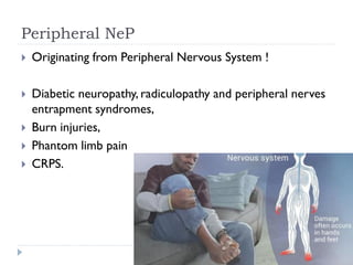 Peripheral NeP
 Originating from Peripheral Nervous System !
 Diabetic neuropathy, radiculopathy and peripheral nerves
entrapment syndromes,
 Burn injuries,
 Phantom limb pain
 CRPS.
 