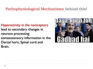 Pathophysiological Mechanisms behind this!
Hyperactivity in the nociceptors
lead to secondary changes in
neurons processing
somatosensory information in the
Dorsal horn, Spinal cord and
Brain.
 