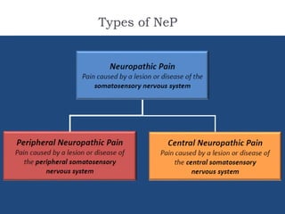 Types of NeP
 