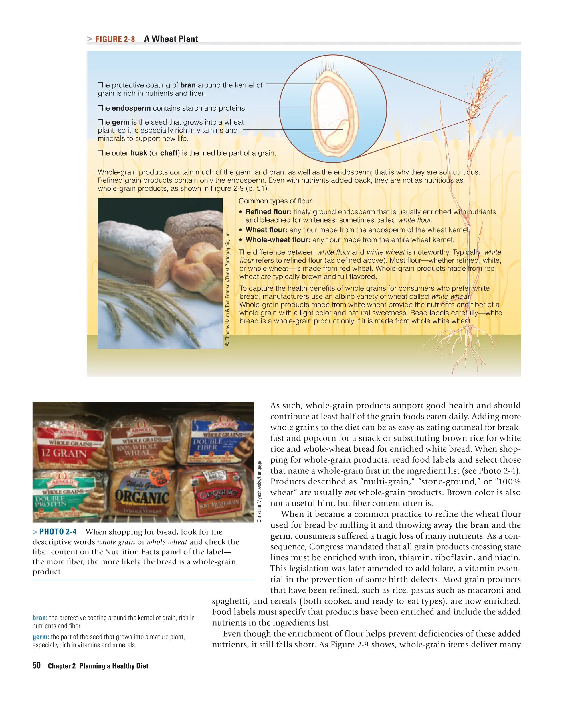 Picture of Understanding Nutrition, 16th Edition pdf | PDF