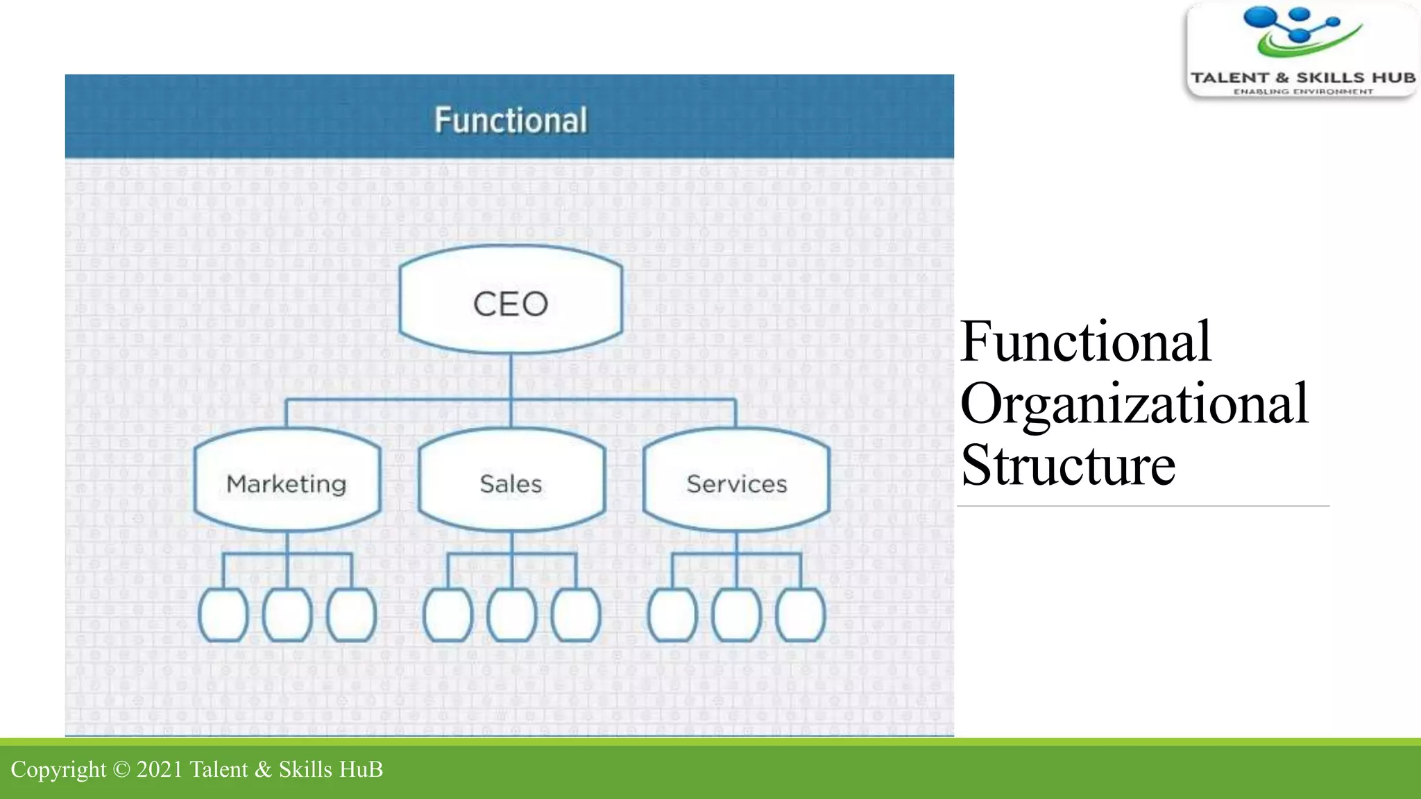 Functional
Organizational
Structure
Copyright © 2021 Talent & Skills HuB
 