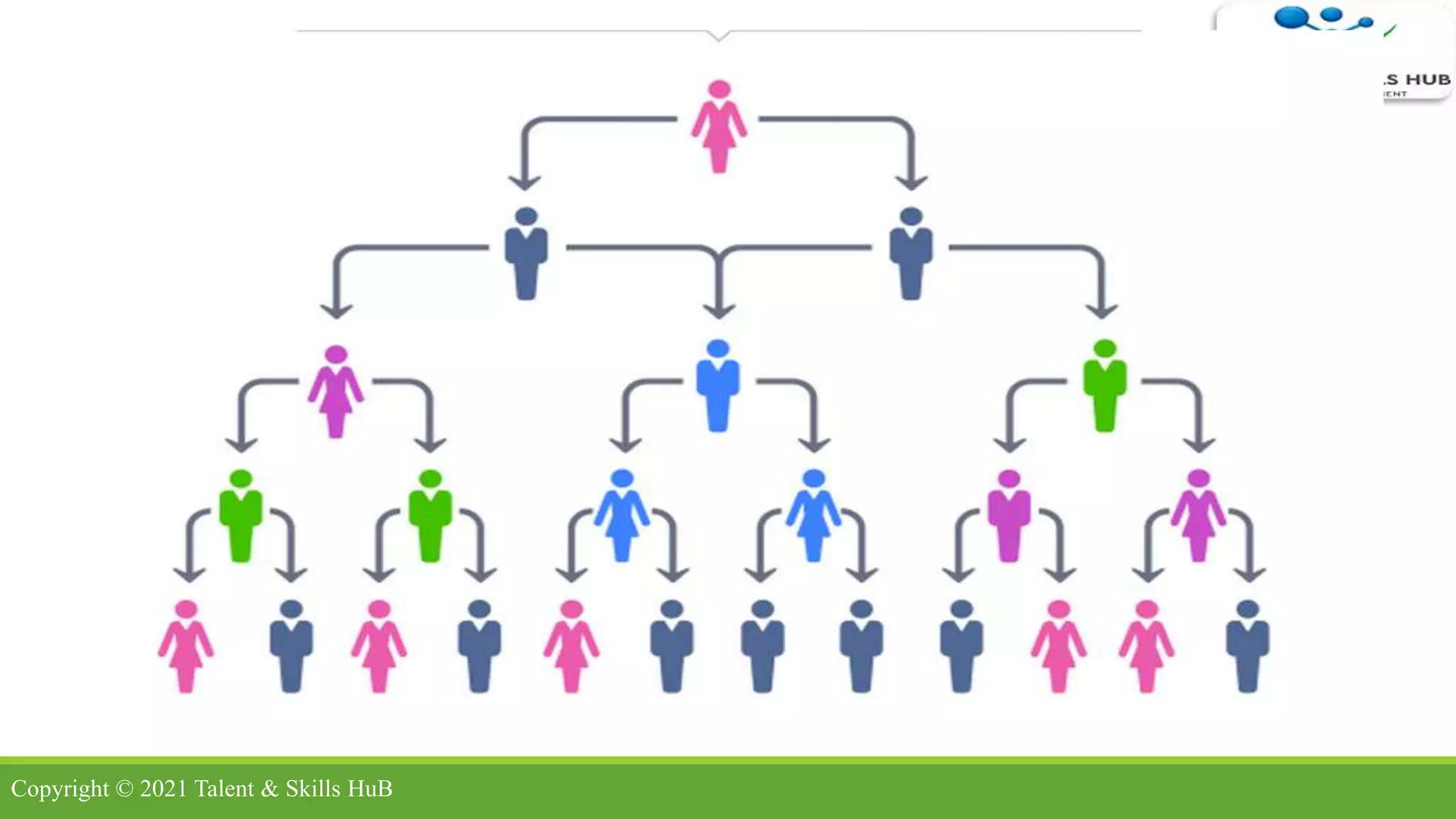 Copyright © 2021 Talent & Skills HuB
 