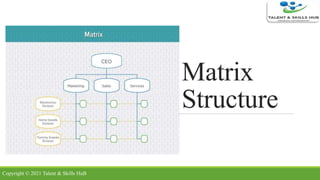 Matrix
Structure
Copyright © 2021 Talent & Skills HuB
 