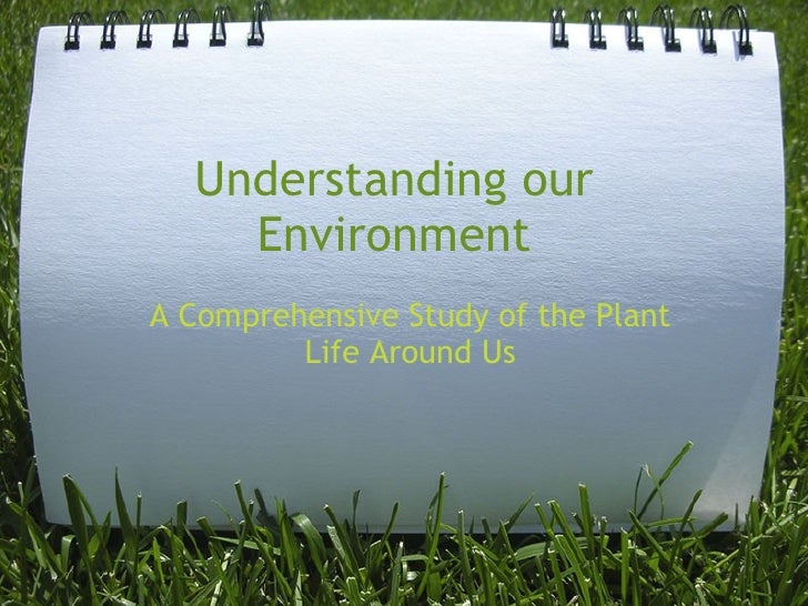 visual understanding environment align visual understanding environment align