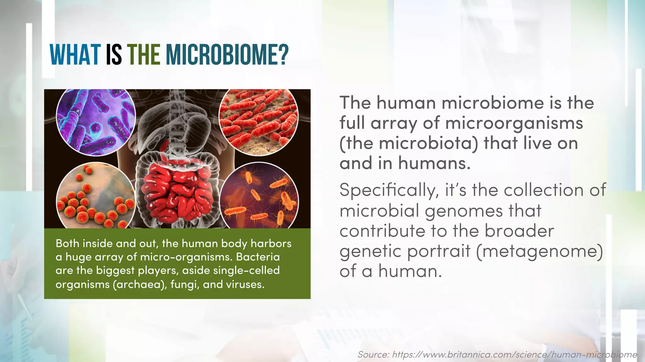 What IS The Microbiome?
The human microbiome is the
full array of microorganisms
(the microbiota) that live on
and in humans.
Speciﬁcally, it’s the collection of
microbial genomes that
contribute to the broader
genetic portrait (metagenome)
of a human.
Source: https://www.britannica.com/science/human-microbiome
Both inside and out, the human body harbors
a huge array of micro-organisms. Bacteria
are the biggest players, aside single-celled
organisms (archaea), fungi, and viruses.
 