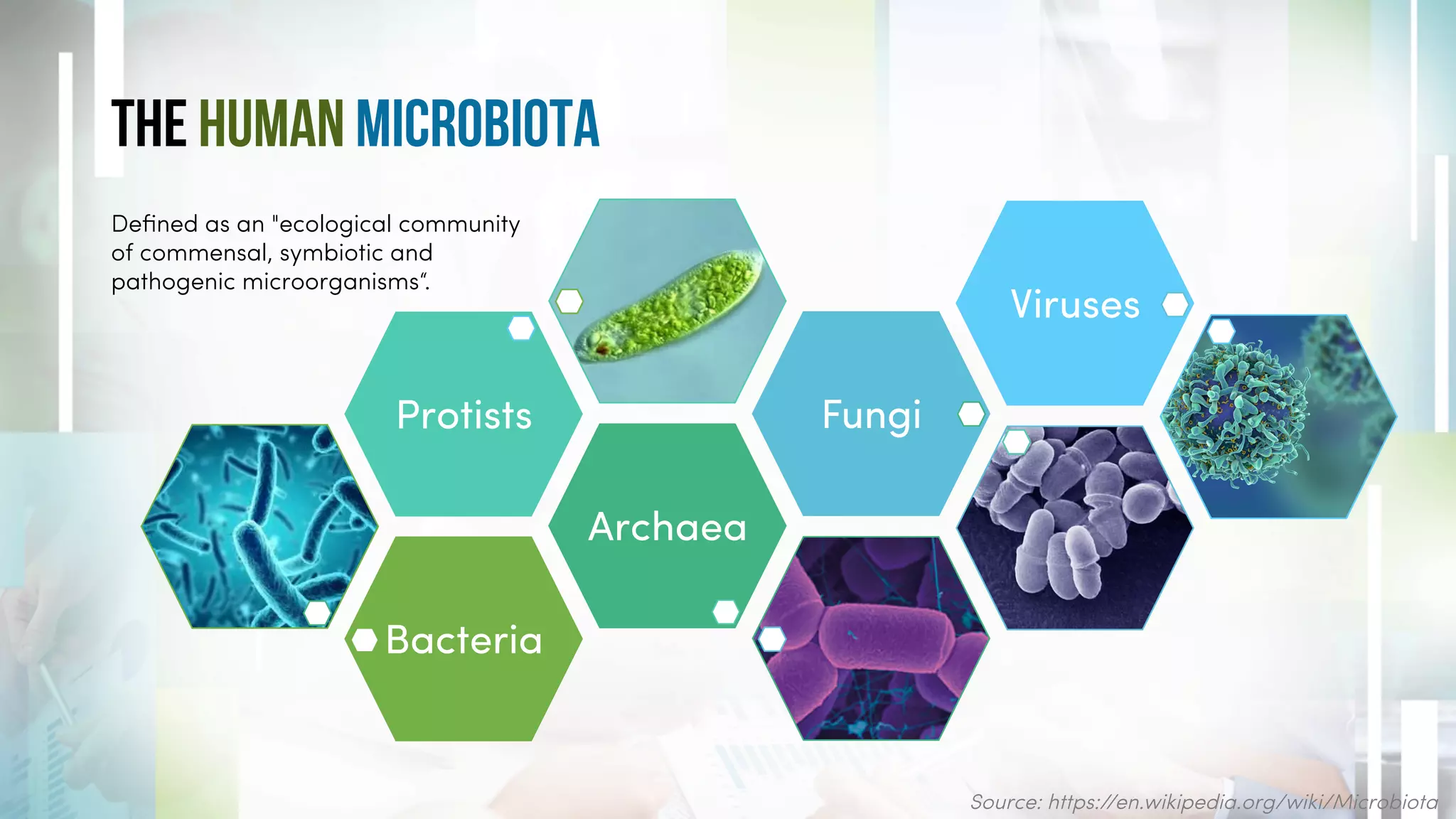 The Human microbiota
Bacteria
Archaea
Protists Fungi
Viruses
Deﬁned as an "ecological community
of commensal, symbiotic and
pathogenic microorganisms“.
Source: https://en.wikipedia.org/wiki/Microbiota
 