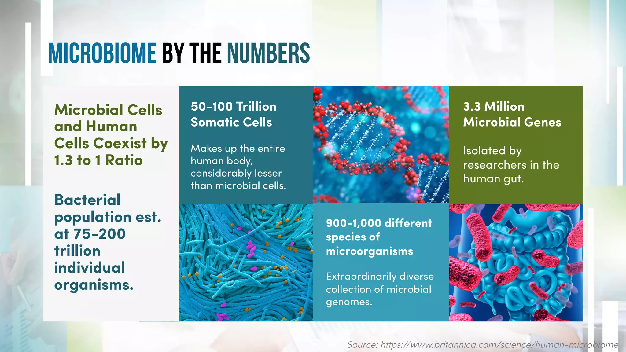 Source: https://www.britannica.com/science/human-microbiome
Microbial Cells
and Human
Cells Coexist by
1.3 to 1 Ratio
Bacterial
population est.
at 75-200
trillion
individual
organisms.
3.3 Million
Microbial Genes
Isolated by
researchers in the
human gut.
50-100 Trillion
Somatic Cells
Makes up the entire
human body,
considerably lesser
than microbial cells.
900-1,000 diﬀerent
species of
microorganisms
Extraordinarily diverse
collection of microbial
genomes.
microbioME By The Numbers
 