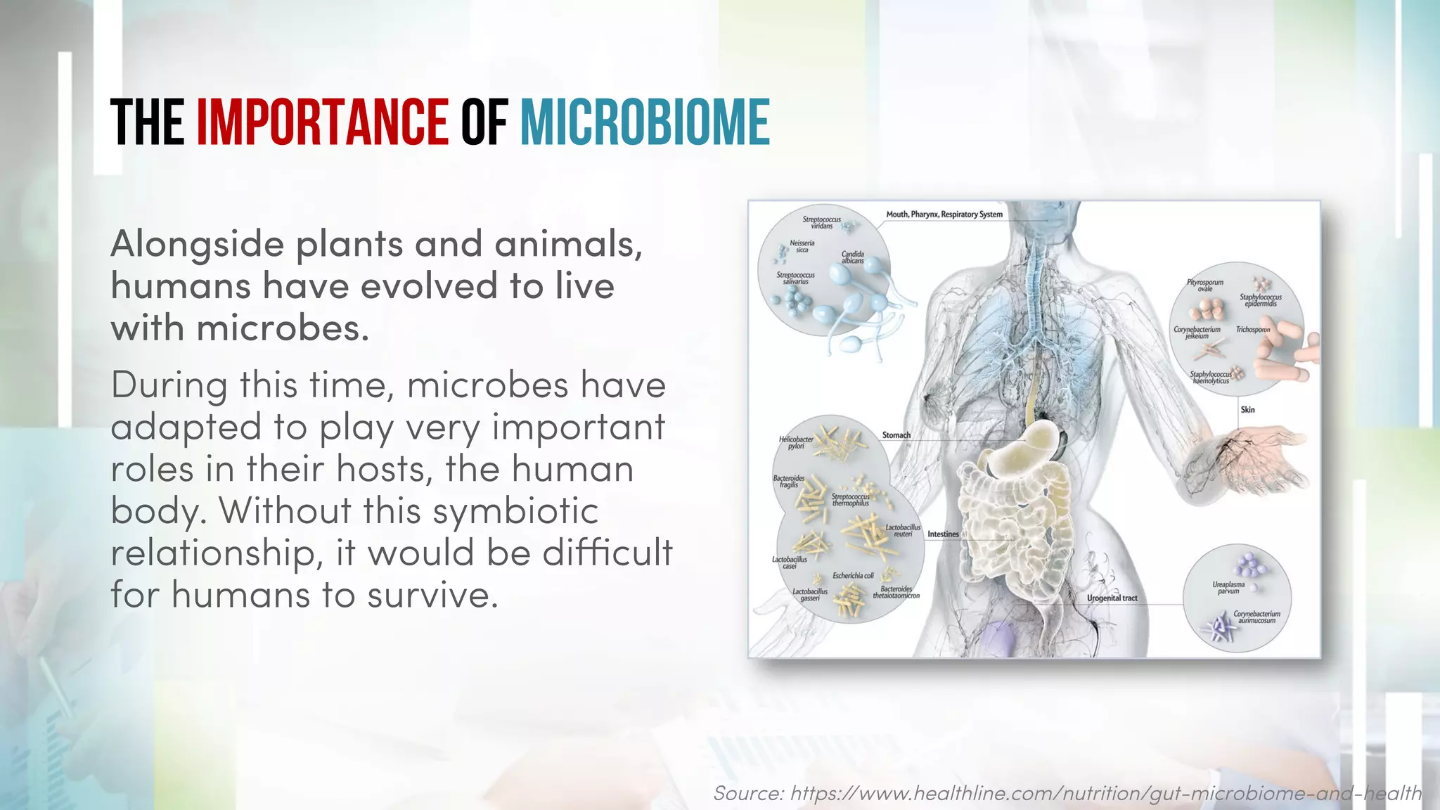 The Importance of Microbiome
Source: https://www.healthline.com/nutrition/gut-microbiome-and-health
Alongside plants and animals,
humans have evolved to live
with microbes.
During this time, microbes have
adapted to play very important
roles in their hosts, the human
body. Without this symbiotic
relationship, it would be diﬃcult
for humans to survive.
 