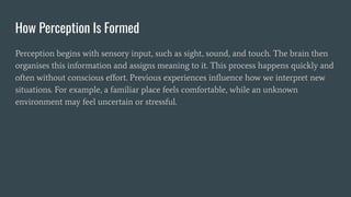 Understanding Perception and How It Shapes Our Reality | PDF