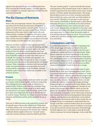 2Understanding Pet Bird Nutrition
digested, then the animall does not usually benefit from
these nutrients the feedstuff contains. A healthy digestive
tract is essential if an animal is expected to benefit from the
nutrients in feedstuffs.
The Six Classes of Nutrients
Water
Water is the most important nutrient. Your pet bird can
lose almost all of its body fat and stored carbohydrate, as
well as over half of its protein, and still survive. However, a
10% loss of body water can cause serious illness. Without
replacement of the water which is lost, death will result.
Water provides a medium for digestion, absorption, trans-
port, metabolism (actual utilization of the nutrients by the
cells), and the removal of cellular waste products out of cells
and eventually out of the bird in the urine and feces.
There are two basic sources of water, ingested and meta-
bolic. Ingested water is that consumed by drinking and that
which is contained in food. Metabolic water is the water
produced when the food is utilized and can arise from
carbohydrate, protein and lipid metabolism inside the cells.
Some feedstuffs contain more water than other types of
feedstuffs. For instance, fresh fruits and vegetables com-
pared to dry seeds. When the amount of water consumed
in food increases, the amount the animal drinks will usually
decrease. Water consumption increases with increased salt
intake, increased environmental temperature, increased
activity and the consumption of dry feedstuffs. Attempts
should be made to have clean, fresh water available to any
animal at all times.
Protein
Proteins are very large, complex molecules which are made
up of amino acids hooked together as links of a long chain.
These linkages between amino acids are referred to as
peptide bonds. Proteins in the body are constantly being
made and broken down. When energy is in short supply
the animal has to use amino acids for energy. Amino acids
have much more important jobs to do in animals than to
be used for energy. Therefore, it is always necessary to have
adequate carbohydrate and fat calories available for use as
energy.
There are 22 different amino acids required by animals, and
all animals require them at the cellular level. While about
12 of these amino acids can be made inside animal cells, the
other 10 have to be consumed in the animal’s diet. Without
a sufficient dietary supply of these ten “essential” amino
acids, the necessary proteins cannot be made by pet birds.
The term “protein quality” is used to describe the amount
and proportion of the essential amino acids in relation to an
animal’s requirement for each of these amino acids. Animal
protein is of better quality than plant protein. This means
that the plant proteins do not have an amino acid profile
that resembles the amino acid make-up of the proteins in
your pet bird. Therefore, it is necessary to give your pet
bird a variety of feedstuffs so that the amino acid(s) that are
somewhat deficient in one feedstuff can be obtained from
another feedstuff that has more of that particular amino
acid. Usually, plant proteins are deficient in the amino acids
methionine and lysine with regards to your pet bird’s amino
acid requirement. It is best to keep the protein intake of
your pet bird adequate but not in excess. Too much protein
is often fed to pet birds and this leads to problems in the
liver and kidney.
Carbohydrates and Fiber
A carbohydrate molecule is composed of repeating units
of the simple sugar called glucose. Starch is the most
common useable form of carbohydrate in the diet and is
considered a soluble carbohydrate by nutritionists. Many
glucose molecules are linked together just as the amino
acids in a protein are linked together to form a long chain.
The carbohydrate, starch, is stored by the plant in seeds for
the immediate utilization by the young plant after the seed
germinates. However, the seeds also furnish an excellent
source of carbohydrate for pet birds to use as energy.
In the plant kingdom there is also another type of carbo-
hydrate that is made up of repeating glucose units. This is
a structural carbohydrate refereed to as cellulose or “crude
fiber”. Unlike starch, cellulose cannot furnish energy to pet
birds and is considered insoluble. Bacteria in the digestive
tract can utilize cellulose. The reason the bird is not able
to utilize the cellulose is because the linkage (bonding)
between the glucose molecules in the long cellulose chain
is not able to be broken during digestion. Animals do not
produce the enzyme called cellulase which can free the
glucose for absorption. The reason some animals such as
cattle and sheep (ruminants) can do well on grass is because
their stomachs have the bacterial population that produces
cellulase, and this structural carbohydrate can be utilized
by the bacteria. The bacterial cells are then used by the cow
or sheep as food. It is important to understand that even
though crude fiber cannot be broken down for an immedi-
ate energy source, a proper amount of cellulose is necessary
in the diet to promote normal movement of food through
the bird’s digestive tract. It also helps to provide the bulk
which is necessary for normal droppings. As the crude fiber
 