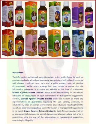  Understanding Pet Bird Nutrition