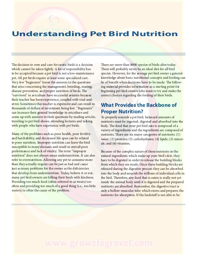 Understanding Pet Bird Nutrition