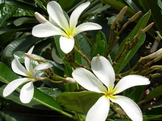 Understanding photography - Part 1