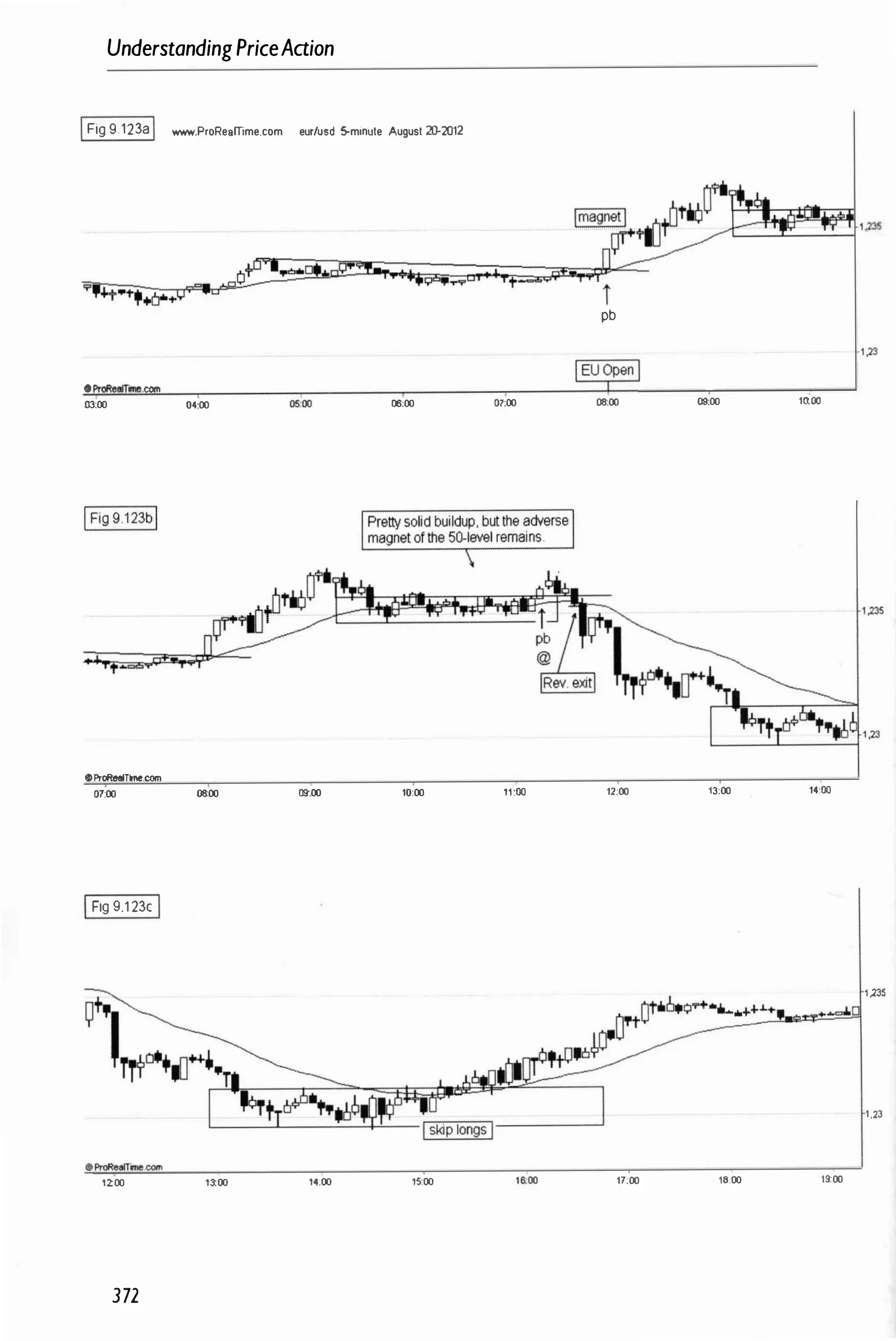 UnderstandingPriceAaion
IFig 9.123aI www.ProReamme.com eur/usd 5-minute August 20-2012
I"",OO�..IO����.'.235
��������
t��
i�
• ProR
eaIf
.....can
03:00 04:00
IFig 9.123bl
oProReelTine.com
07:00 08:00
IFig 9.123cI
1200 1�00
372
06:00
09:00 10:00
14:00 1�00
pb
'1,23
01:00 08:00 09:00 1ctOO
11:00 12:00 13:00 14:00
1.235
1,23
17:00 16,00 1�00
 