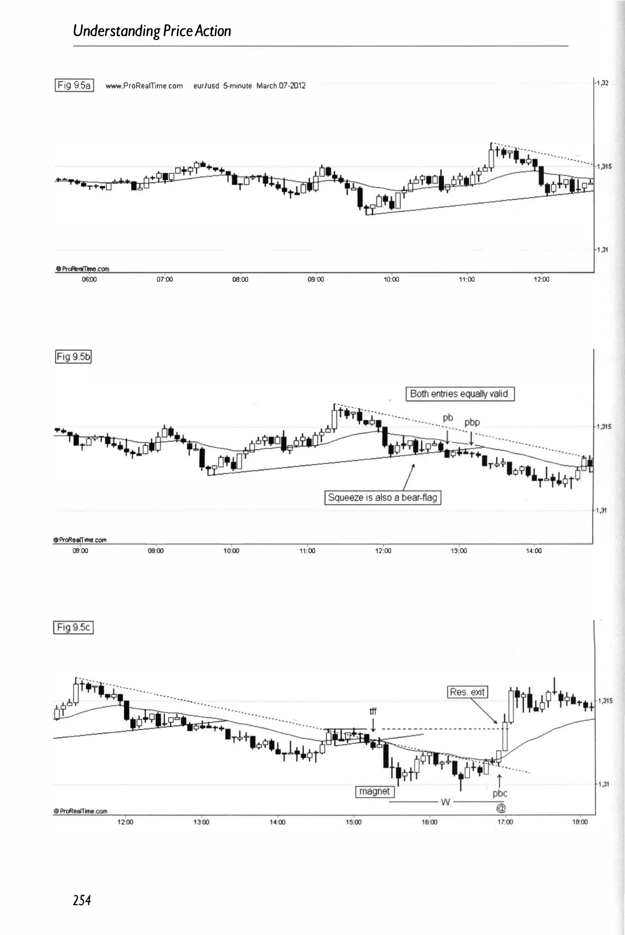 UnderstandingPriceAction
IFig 9.58I www.ProRealTIme.com eur/usd 5-minule March 07·2012 1 )2
1,31
4bProR.eelTme.COrtI
0000 01:00 011:00 09:00 10:00 11:00 12:00
OProRellTirne.oom
08:00 11:00 12:00 13:00 14:00
254
 