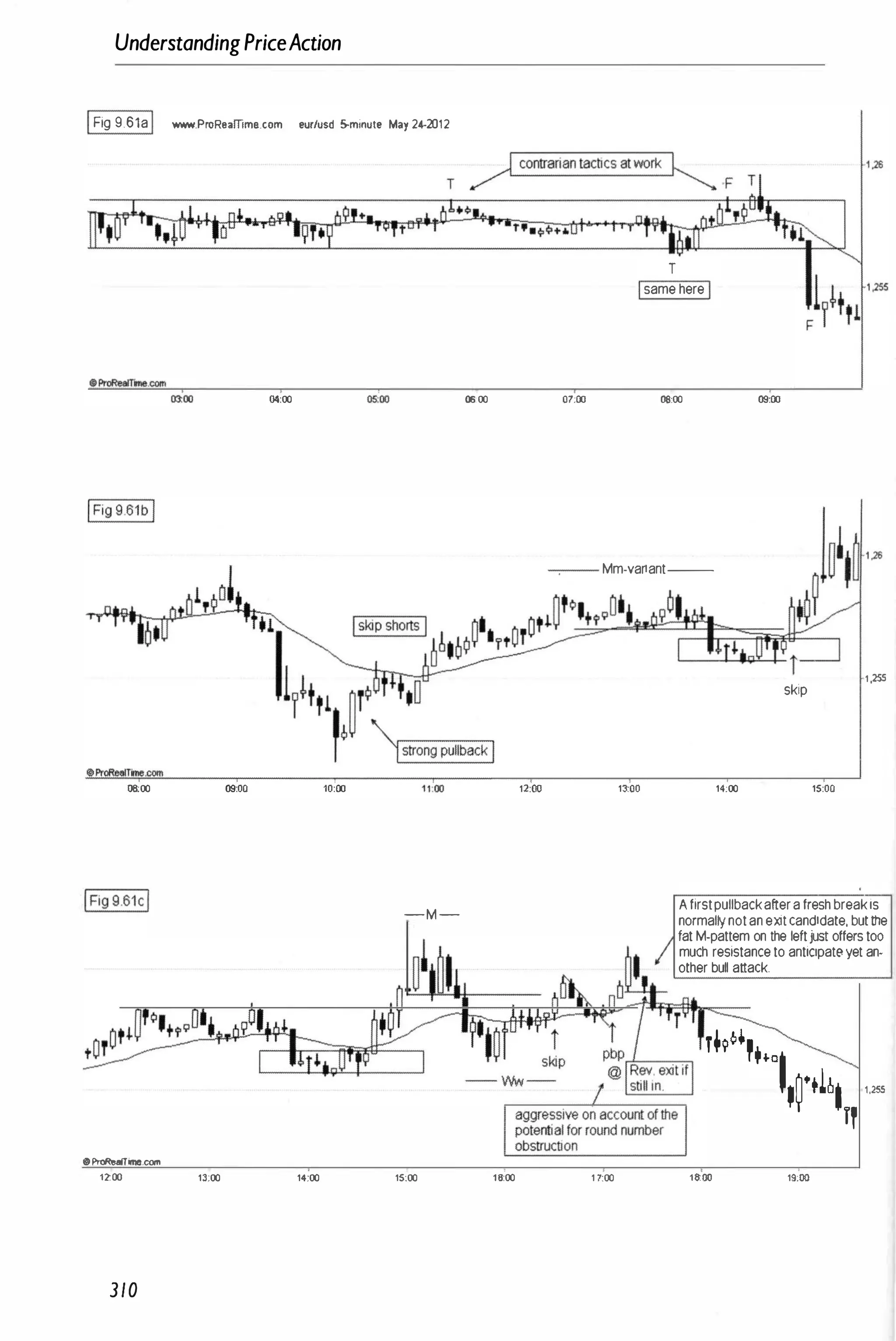 UnderstandingPriceAction
1Fig 9.61a1 www.ProR••mme.com .urfusd 5-minut. May 24-2012
00:00 04:00
0000 09:00 10:00
1Fig 9 61cl -M -
oProReaITirne.conl
lZ00 13:00 14:00 15:00
310
0000
12:00
16:"00
T
Isame hereI
07:00 0000 09:00
-
.
-
- Mm-variant--
1,255
skip
1�00 14:00 15:00
A firstpullbackaftera fresh breakis
normaltynotan eXitcandidate, butthe
fat M-pattem on the leftjust offers too
much resistance to anticipatE!yet an-
other bull attack.
T.9�·'
"OII�'ll!1 t,2S5
r,
1 1:00 laOO 19;00
 