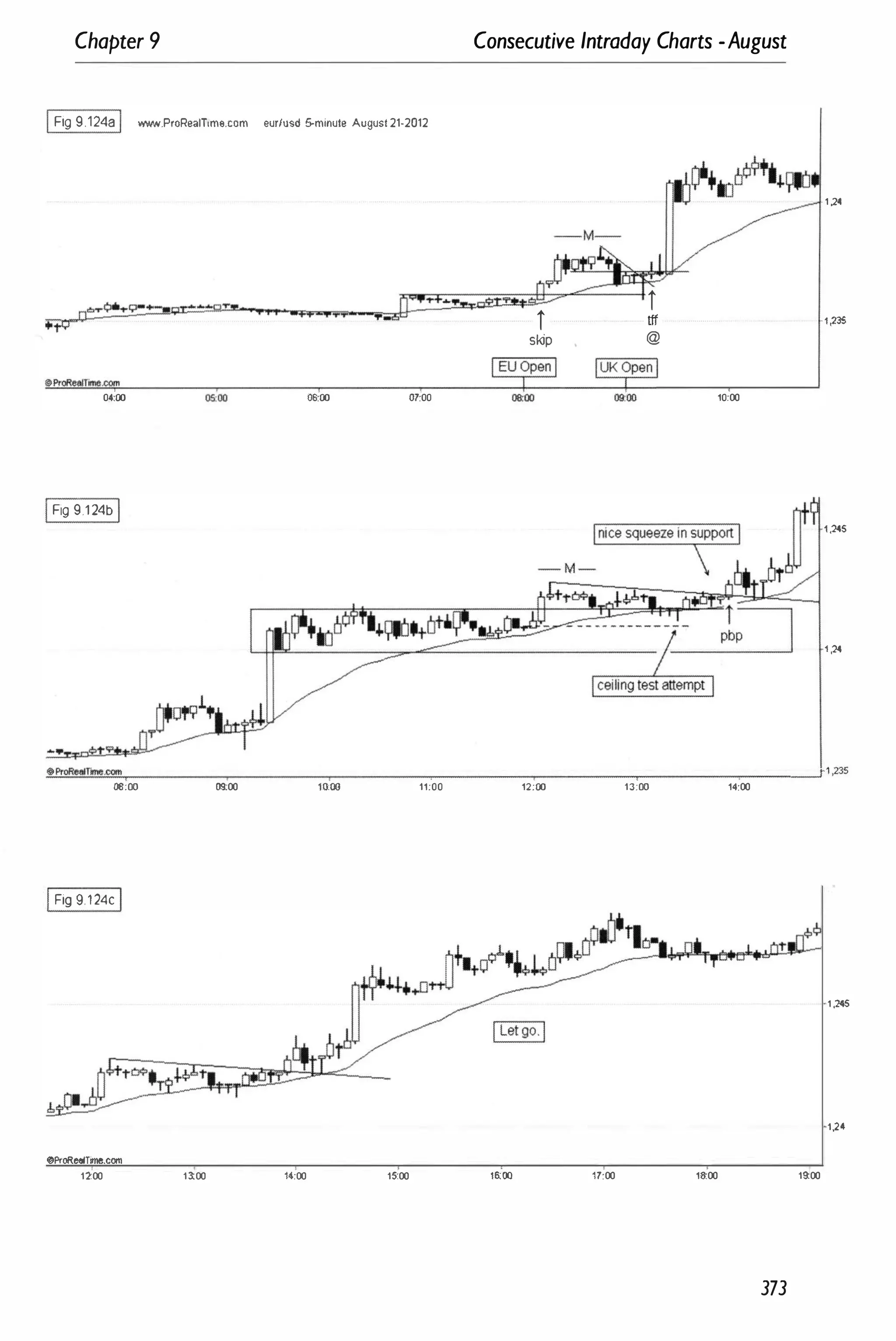 Chapter 9
IFig 9.124a I /o';/W.ProReaIT'me.com eur/usd 5-minute August 21·2012
T • .,.
...
to
04:00 �oo 00:00 01:00
IFig 9.1 24b I
..
Consecutive Intraday Charts -August
J!'��
i
skip
i
tff
@
10:00
" 1 ,2<
·1,235
1,245
1 ,24
�
O�
�
�
�
NI
�
ft
�
�
�
__
__
__
__
__
__
__
__
�
__
__
__
__
__
__
__
__
__
�
__
__
__
�
__
__
__
__
__
__
__
�1�S
06:00 09
:00 10:00 11;00 12;00 13;00 14:00
IFig 9 124c I
1 ,245
1�'
@ProRealTime.com
1200 1100 14:00 1�00 I�OO 17:00 18:00 19:00
373
 