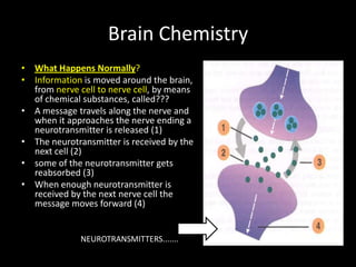 Brain Chemistry
• What Happens Normally?
• Information is moved around the brain,
  from nerve cell to nerve cell, by means
  of chemical substances, called???
• A message travels along the nerve and
  when it approaches the nerve ending a
  neurotransmitter is released (1)
• The neurotransmitter is received by the
  next cell (2)
• some of the neurotransmitter gets
  reabsorbed (3)
• When enough neurotransmitter is
  received by the next nerve cell the
  message moves forward (4)


              NEUROTRANSMITTERS.......
 